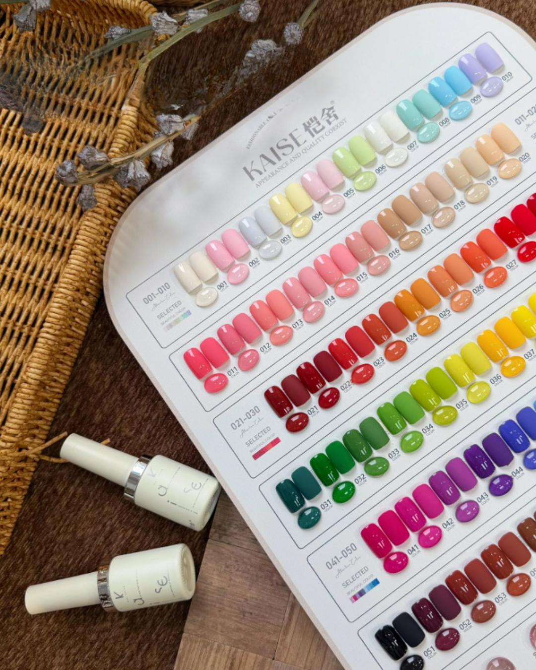 C. Sistema Profesional de Color KAISE – 68 Esmaltes con Carta Expositora de Lujo