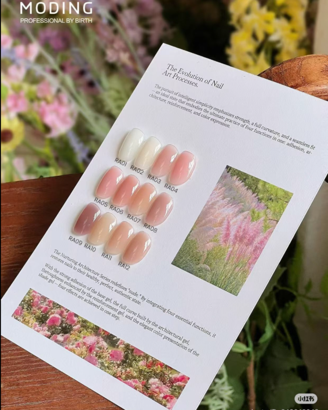 Kit Profesional Gel Constructor MODING 4 en 1