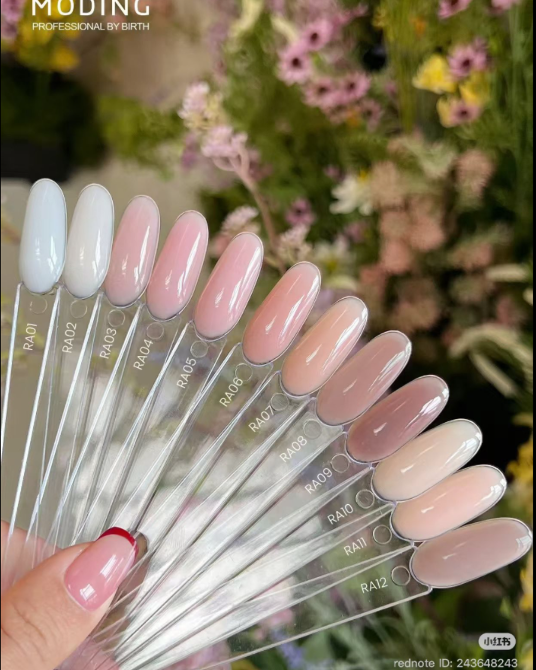 Kit Profesional Gel Constructor MODING 4 en 1